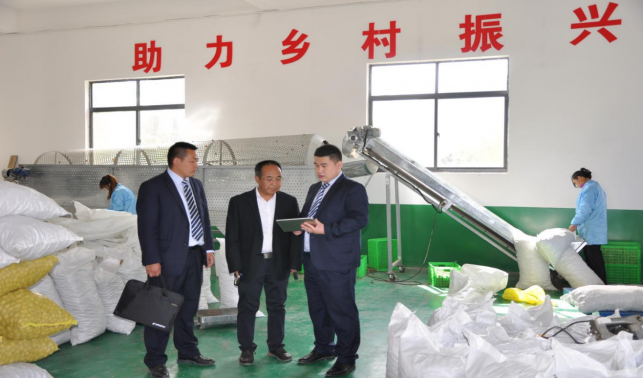 ?郵儲銀行商洛市分行:金融活水澆灌特色產(chǎn)業(yè) 譜寫鄉(xiāng)村振興新篇章